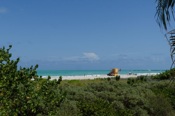 345 Ocean Dr Unit 1016 Miami-large-023-2-2016 DSC 4683-1500x994-72dpi