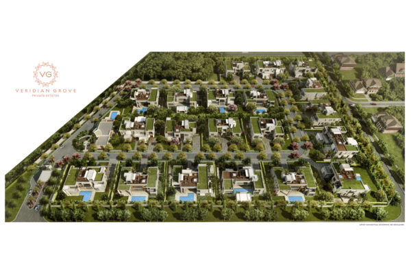Veridian Grove Homes for Sale