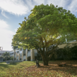 St Thomas Episcopal Parish School