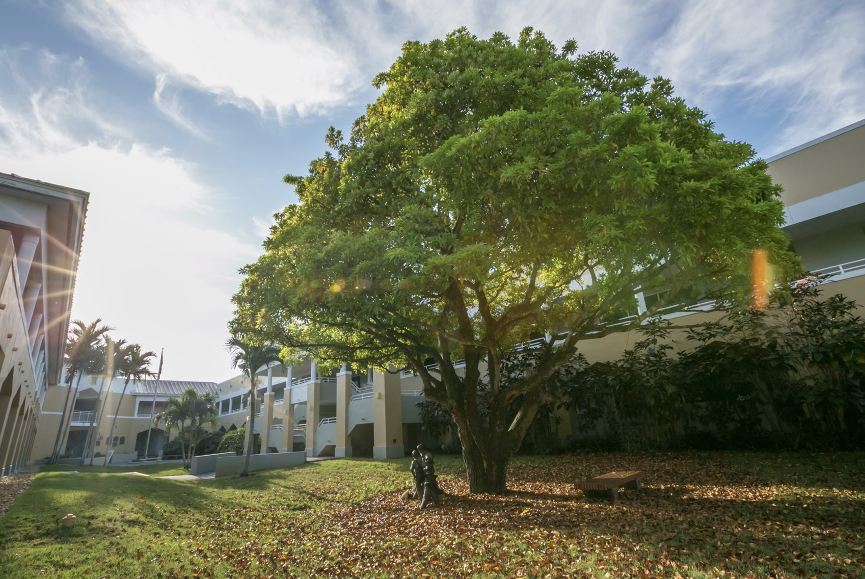 Migrating Families and the Challenges of Finding the Right Miami Private Schools